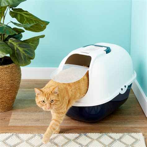 Keeping Your Home Odor-Free with a Magic Cat Litter Box